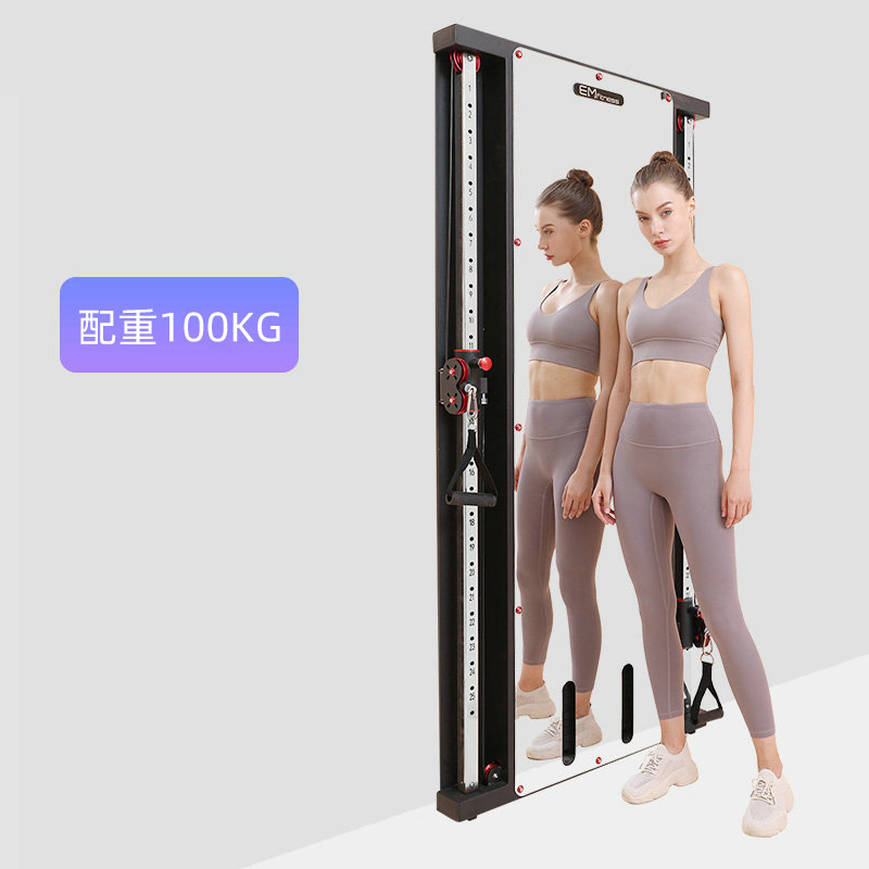 Pórtico de pájaros montado en la pared espejo de pared de un solo lado montado en la pared para el hogar pequeño pájaro poder entrenador integral