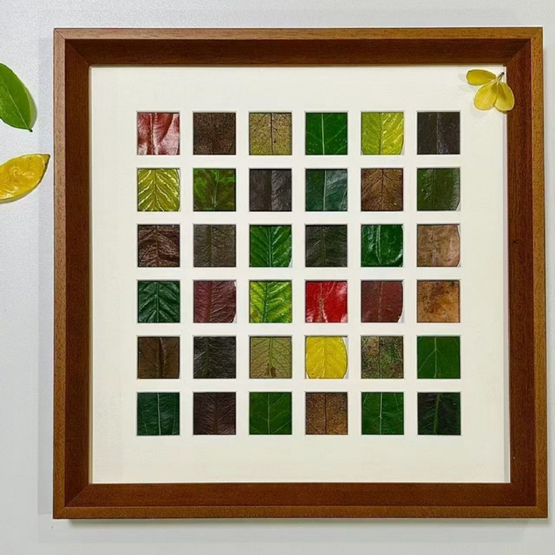 Fall Leaf Photo Frame 48/36 Grid DIY Leaf Specimen Frame Maple Leaf Parent-Child Handmade Design High-Value Display Wooden Frame
