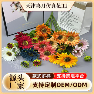 �͹��ͮ��L�������^���տ� �����ƺ��Y��̨�����廨�b�