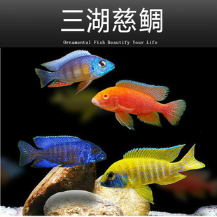 �����~���w���������R���s���~�Ꭷ��ˮ���B�ͻ���~���]����