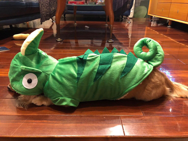 F5F3D7A0DF37D3F12E189E9540FCB7