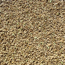 【批发】精品草籽稗子鸟食文鸟玉鸟芙蓉鹦鹉玄凤牡丹虎皮珍珠鸟