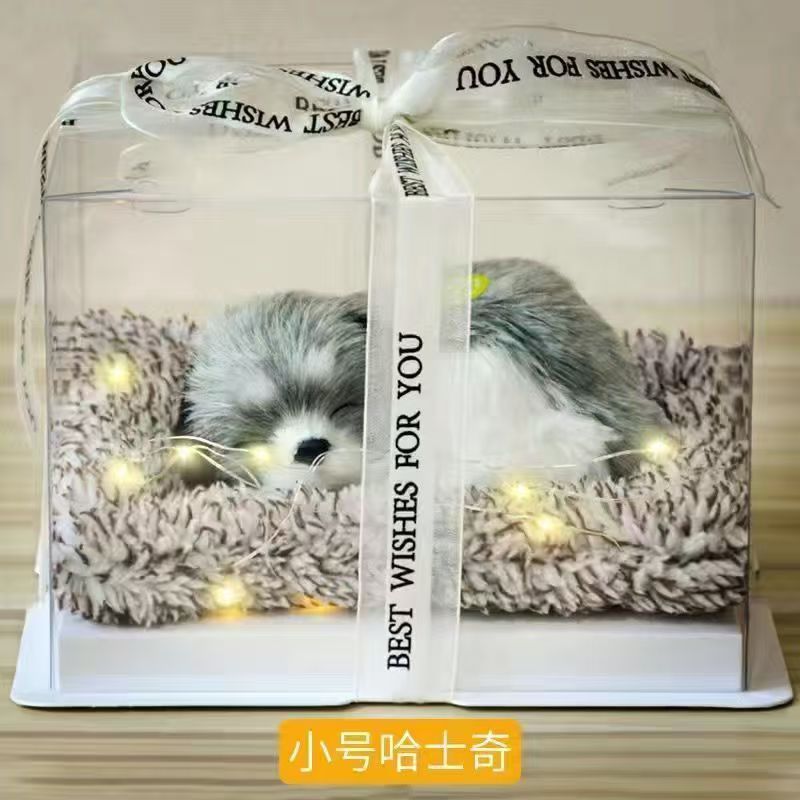 Llamará juguetes de simulación adornos de carbón de bambú modelo de gato adornos juguetes de peluche muñeca caja de regalo de cumpleaños