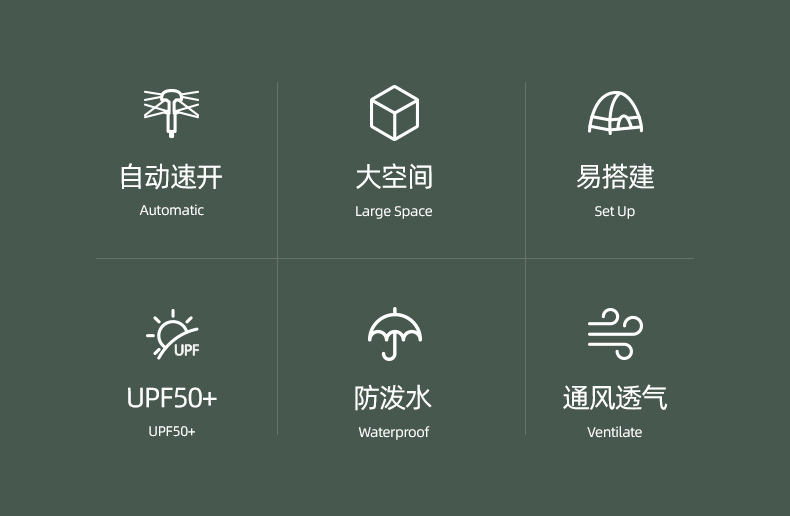 自动帐详情_04.jpg