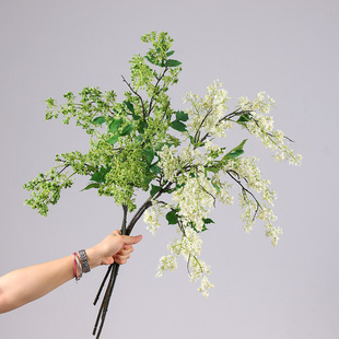 ����ѩ��֦С�黨���滨 �hѩ��֦�𻨈@���쾰��c�b����