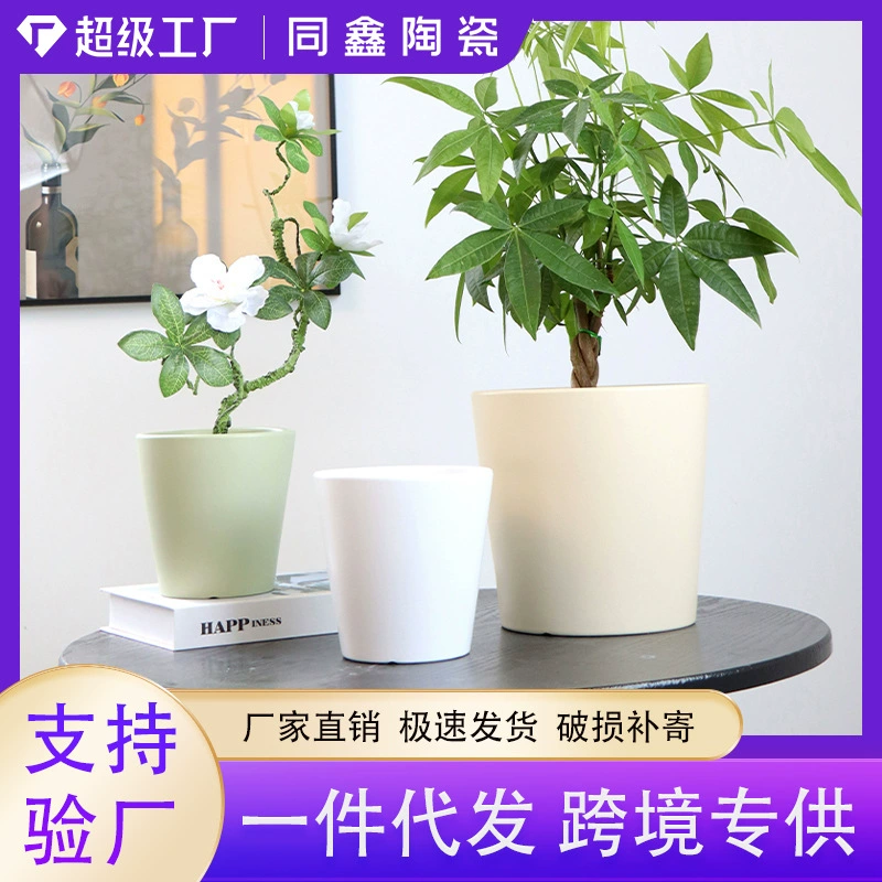Керамический цветочный горшок простой фаленопсис подсолнух офис комнатная орхидея