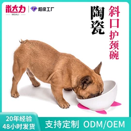 伊丽莎白圈;宠物项圈;狗狗清洁