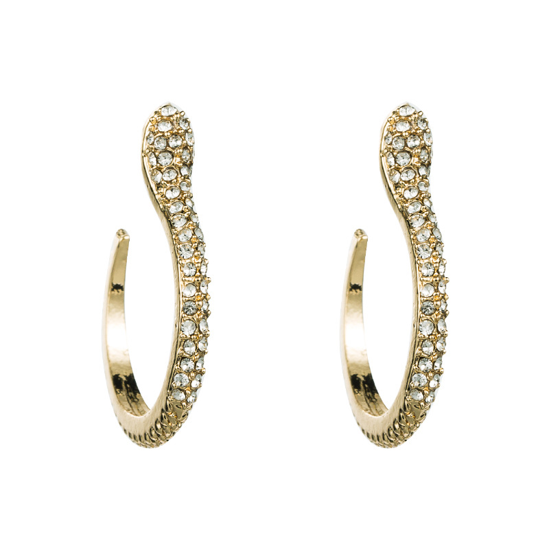 Boucles D&#39;oreilles Simples En Forme De Serpent Exagérées display picture 6