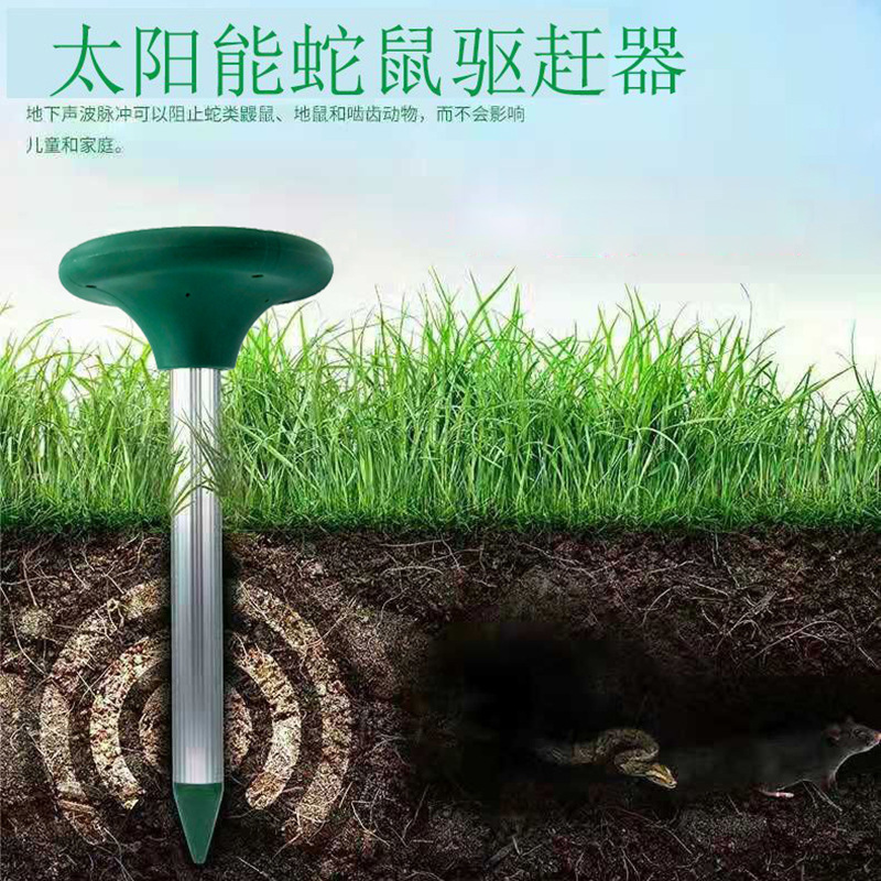 O1CN01sXOZOM1O8mZrcZzqT_!!2211