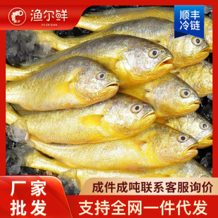 �B노�С�S�~�S���~��؛���r���r���l���ˮ�a