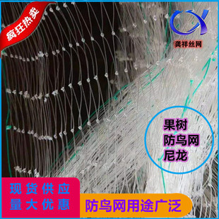 �������B�W���@AʯȪ�������B�W���@A�������B�W���@�S�Ҷ���