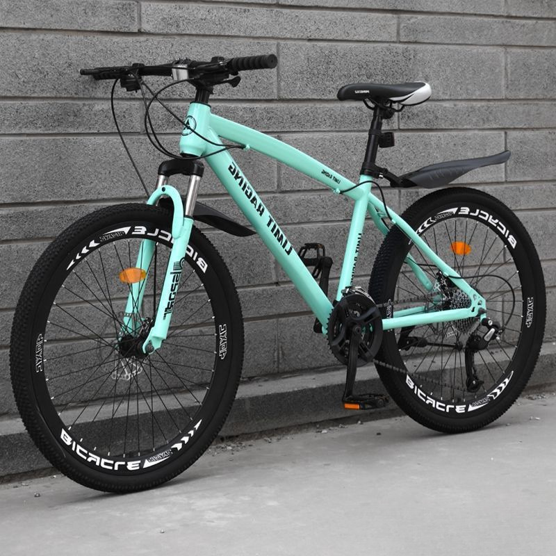 Bicycle Female Adult Inch/Inch Mountain Speed/City Student Bicycle Disc Brake for Men and Women