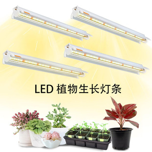 LED�۹�T5���L���l�����҃ȷNֲ����ֲ���a����߲˴���ȫ���V��
