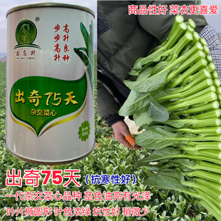 �䌚70����~�����;G�n���o̦������o���ļ��ɲ������������m̦