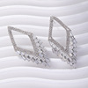 Silver needle, fashionable advanced universal earrings, light luxury style, wholesale, European style, high-quality style