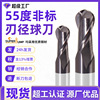 Non standard 2 Ball head milling cutter Tungsten steel milling cutter 55 currency numerical control tool violet coating wear-resisting