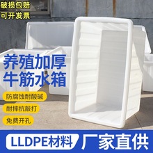 zͰƵţÃˮͰȾ﷽ͰB