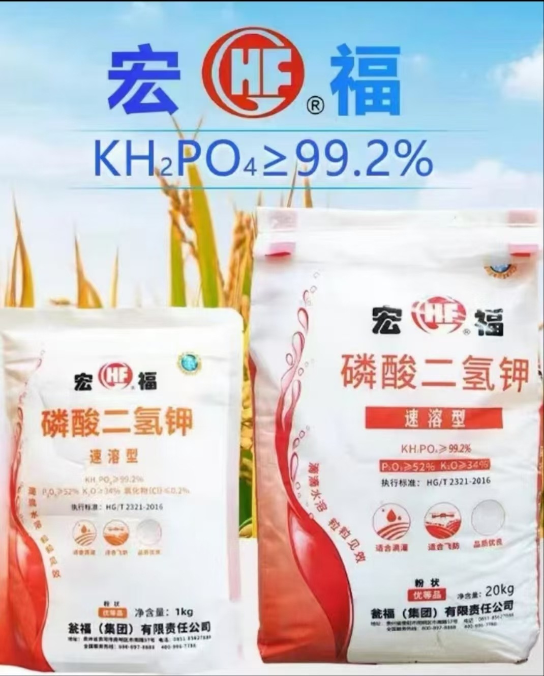 �긣�������� 1000g 13.jpg