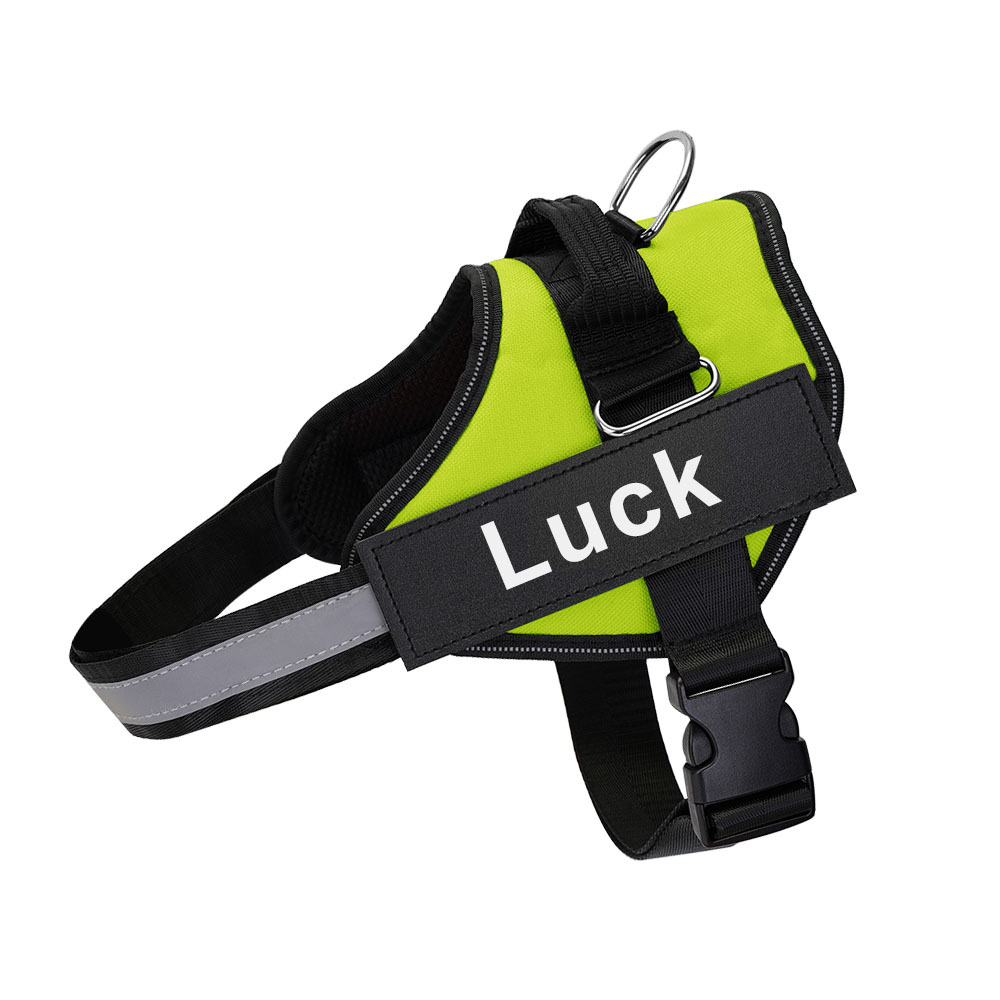 Dog Harness - Image 4