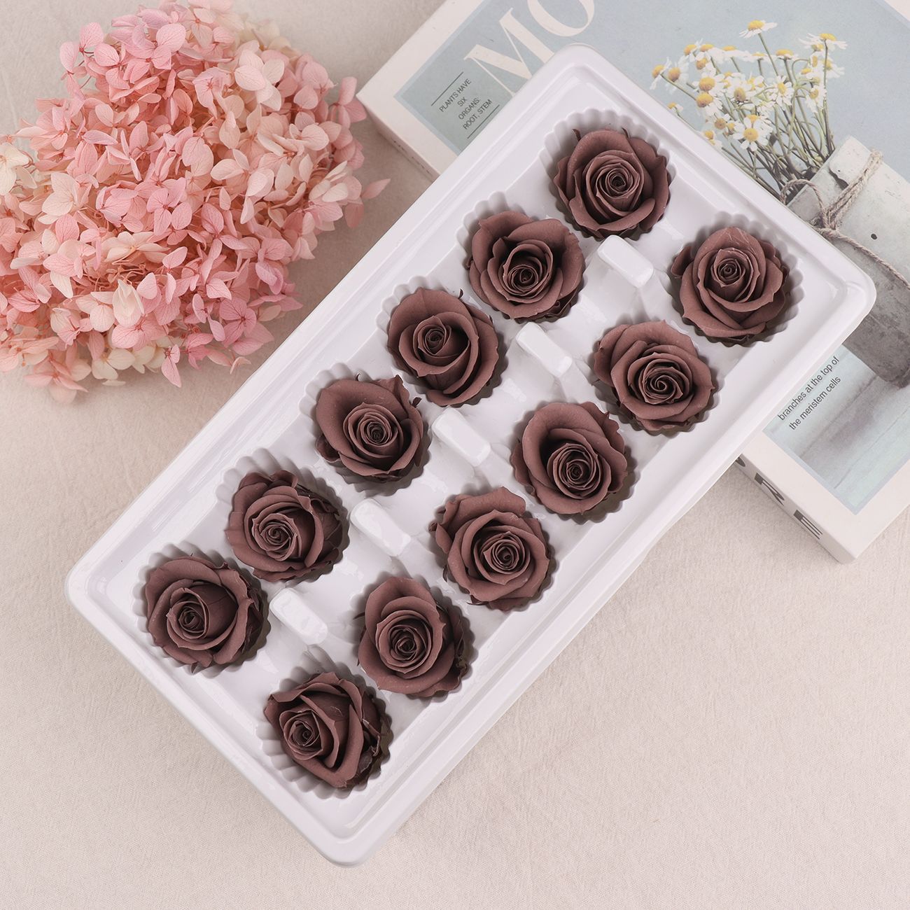 Cabezas de Rosa Eternas A+, 3-4 cm, 12 Piezas, Materiales para Manualidades Florales, Caja de Regalo, Fabricante, Venta al por Mayor