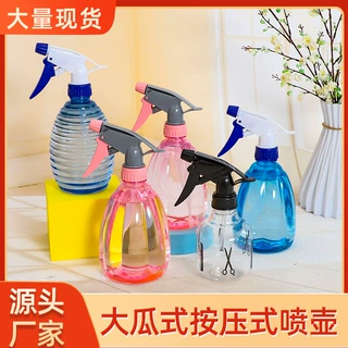 手压式消毒壶美妆理发大瓜花园阳台浇花洒水壶500ml塑料园艺工具