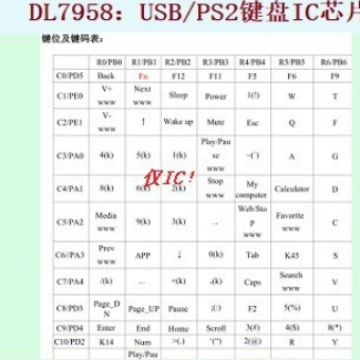 DL7958: USB/PS2 dual -use keyboard IC chip, full keyboard, standard key code, nude IC