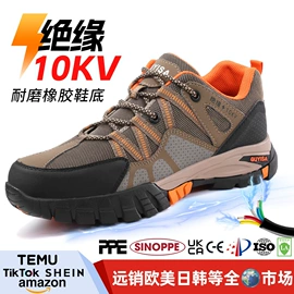 防砸防刺穿鞋;防静电鞋;其他足部防护