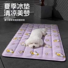 �������������ϯ���ӹ���è���ļ�˯������������������˯������
