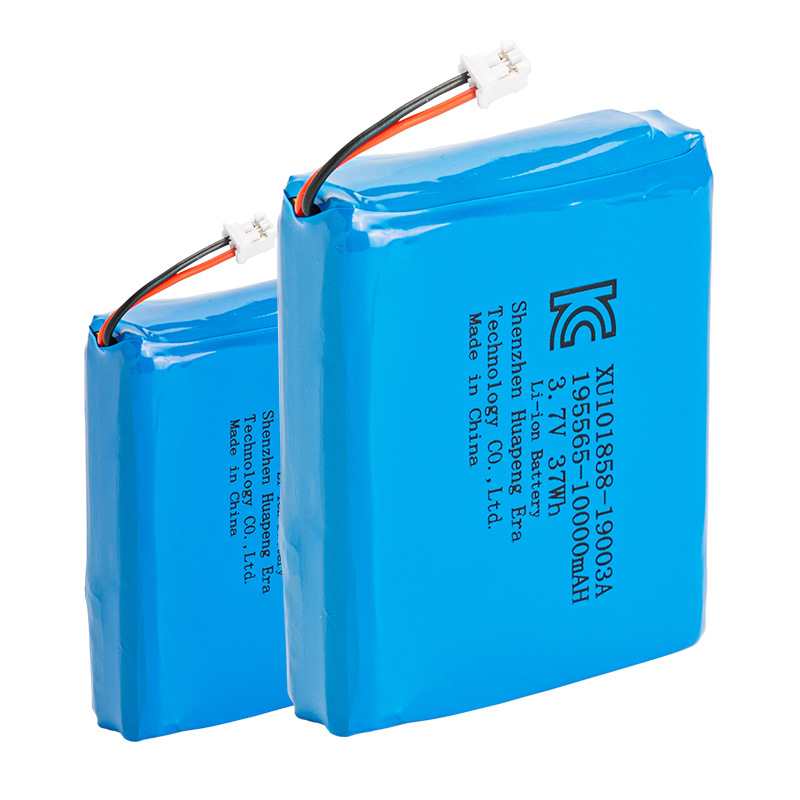 195565-2P-10000mAh