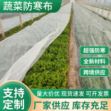 蔬菜防寒专用无纺布保温防寒无纺布 透气防寒罩透气透光防寒布
