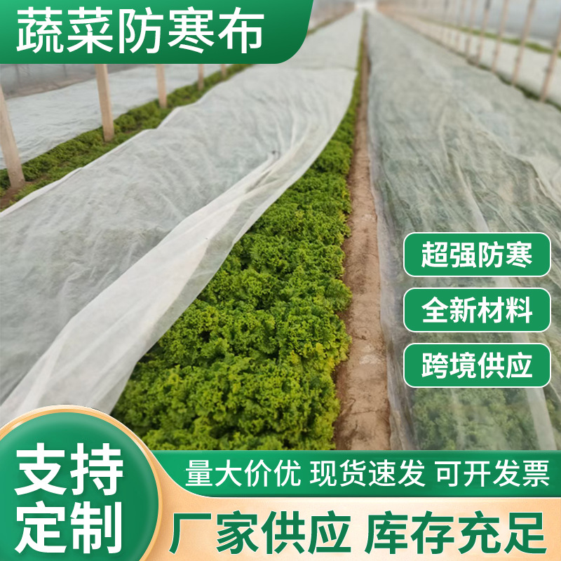 蔬菜防寒专用无纺布保温防寒无纺布 透气防寒罩透气透光防寒布