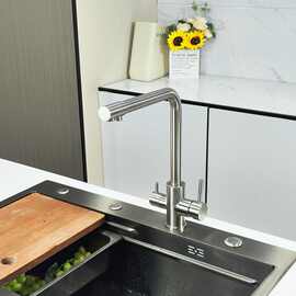 厨房水龙头两用三合一直饮水净水器洗菜盆水槽双出不锈钢洗菜池