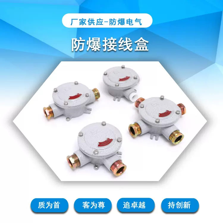 现货防爆接线盒IIB环氧树脂粉体涂装铸钢圆端子Q235防护现货速发