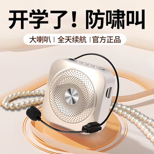 Microphone, small handheld megaphone, bee