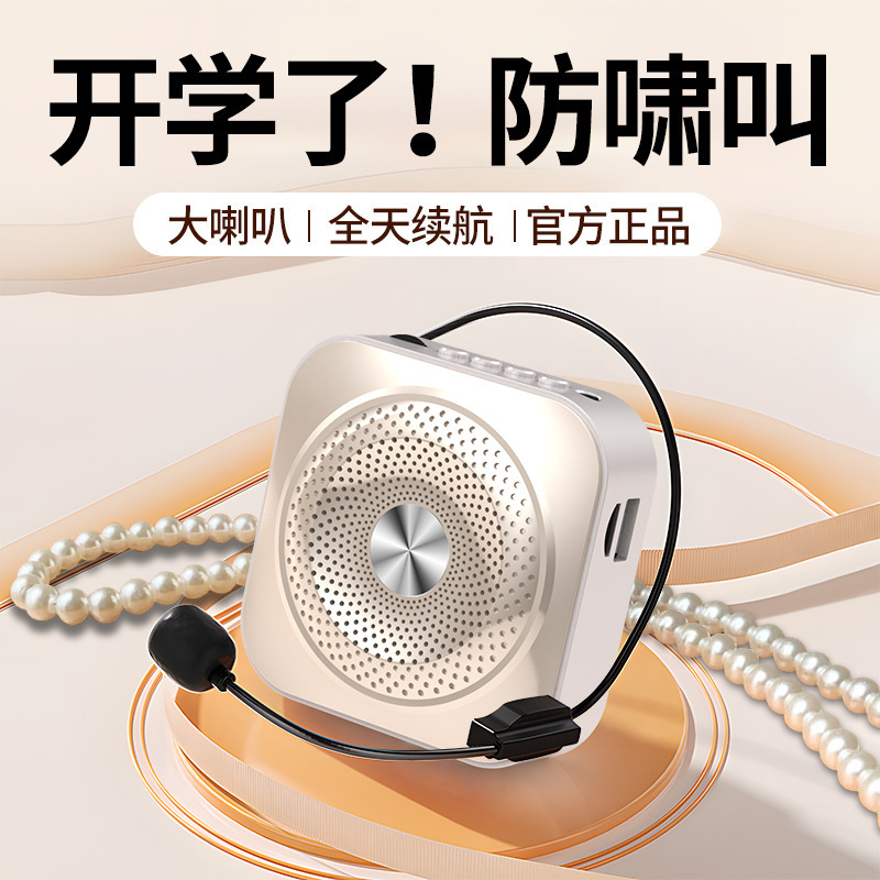Amplifier Little Bee Microphone Teacher's Special Large Volume Speaker Sale Promotional Mini Portable Speaker