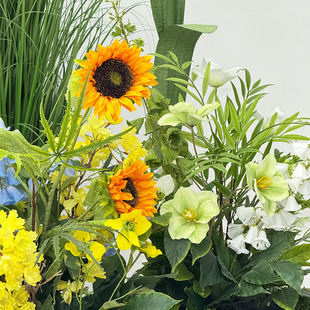 ���滨ˇ�쾰Ī�λ��@�bٻ��̈���оW�t���մ򿨙��������[��