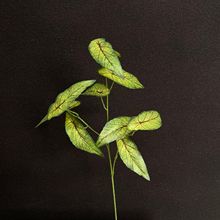 仿真绿植仿真仙芋叶婚庆居家装饰叶子植物拍照摄影道具仿真树叶