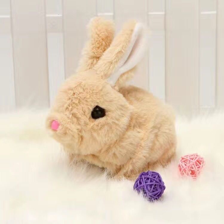 Brown long haired rabbit