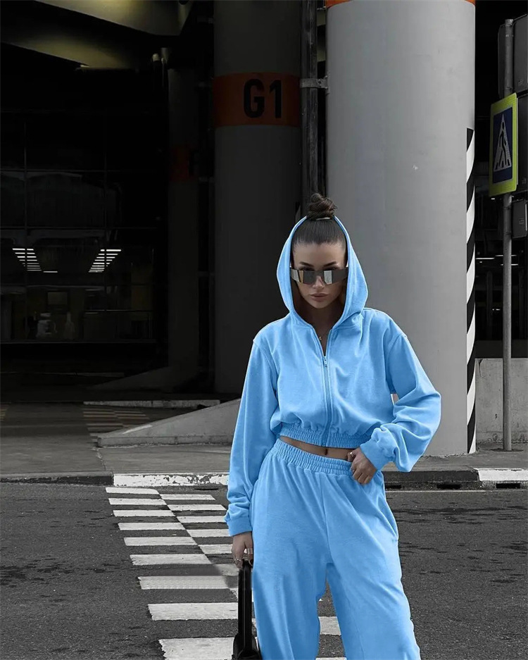 469g Weight Long Sleeve Sleeve Length Cotton Blend Fabric Type Pant Co-ord Set Sets Type 2 Pieces Set Quantity Casual, Daily, Street Occasion Hooded Neckline Loose Fit Type Solid Color Pattern Spring, Autumn Season Women's Gender Simple Style Style Casual Daily Street Women's Simple Style Solid Color Cotton Blend Pant Co-ord Set Pants Sets 16