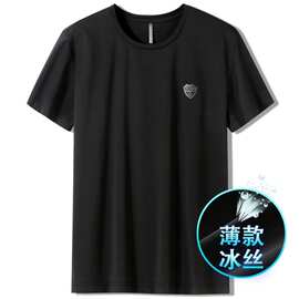 轻奢级冰丝短袖男t恤夏季薄款运动男士半袖体恤大码男装速干衣服