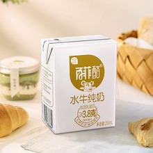 百菲酪纯水牛奶200ml*12盒洛广西补钙蛋白青少年儿童学生营养纯奶