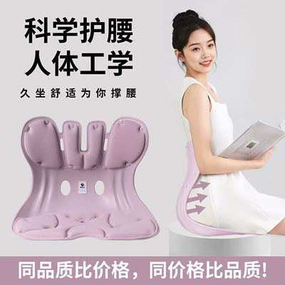Sitting in the Office or Dorm, Waist support
