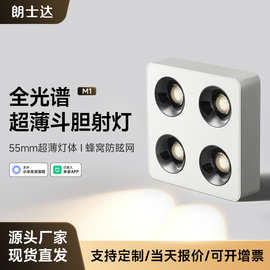四头明装筒灯超薄智能方形双头斗胆灯无主灯客厅照明吸顶射灯防眩