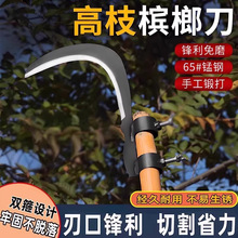 �߿��ޘ�֦�i䓌���砵��r�ø߿ՙ��Ƶ����֦���砵��^�@ˇ����