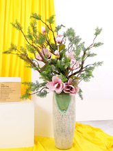 ����°ؘ�֦���ɘ�������֦���߸ɻ��~�Ә��~��ˇӭ����