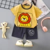 B47-Yellow Lion