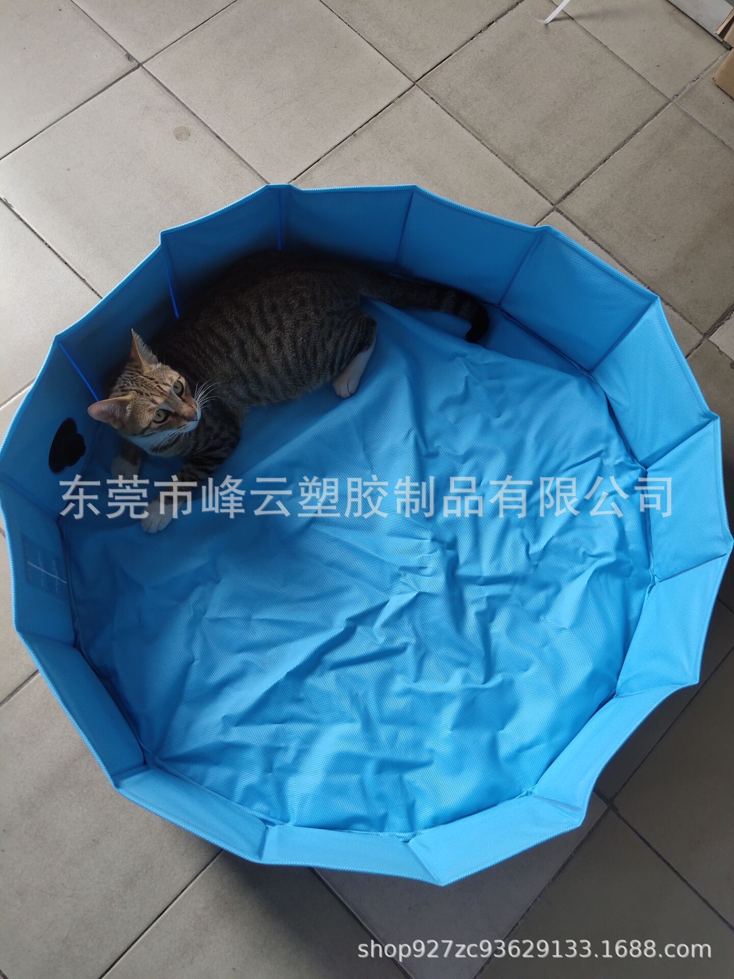 通过产宠物夹板水池 加厚PVC宠物洗澡盆  动物泳池宠物浴盆