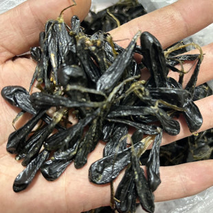 Ұ����đ�ݾƞ�����đ���y�h��đ�׻���đ���R��đ10