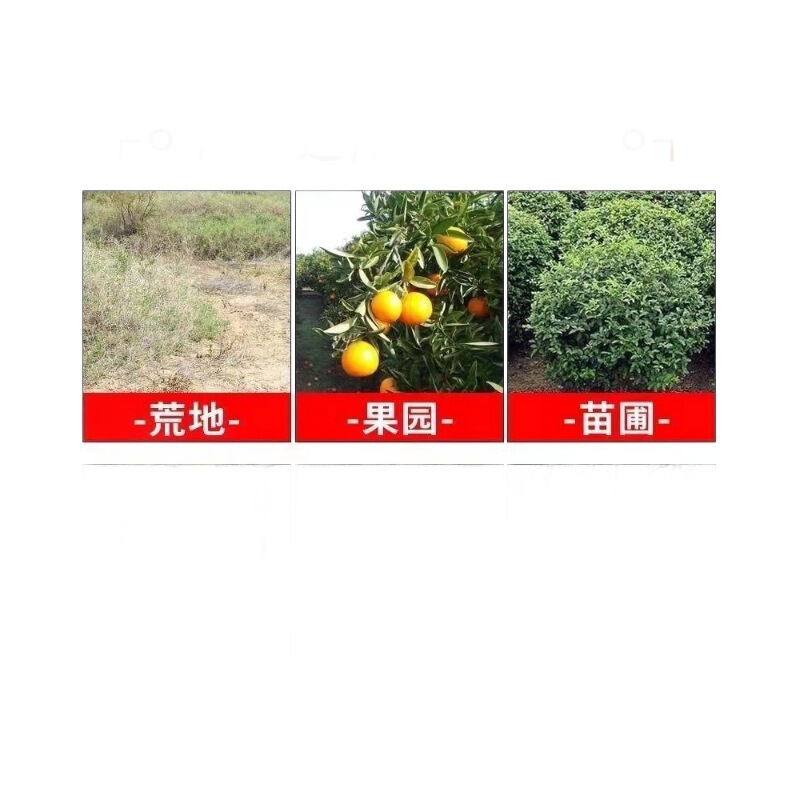 灭树粉烂根剂树烂根王除树根药剂烂根粉强力除树剂树枯死专用药|undefined