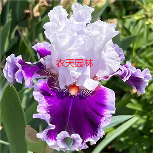 �Sβ����ͥԺ�G�����̻�����ľ������С�^�e���@���쾰���ݾGֲ��